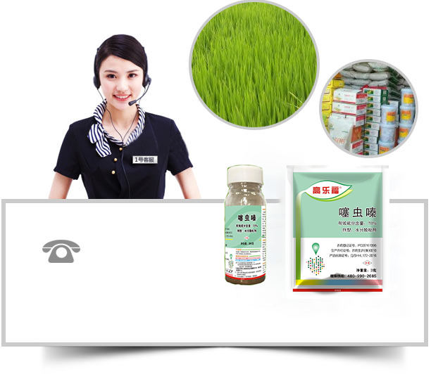 除草劑廠家，除草劑批發(fā)